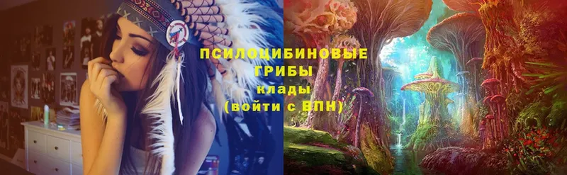 Галлюциногенные грибы Magic Shrooms  купить  сайты  Новомичуринск 